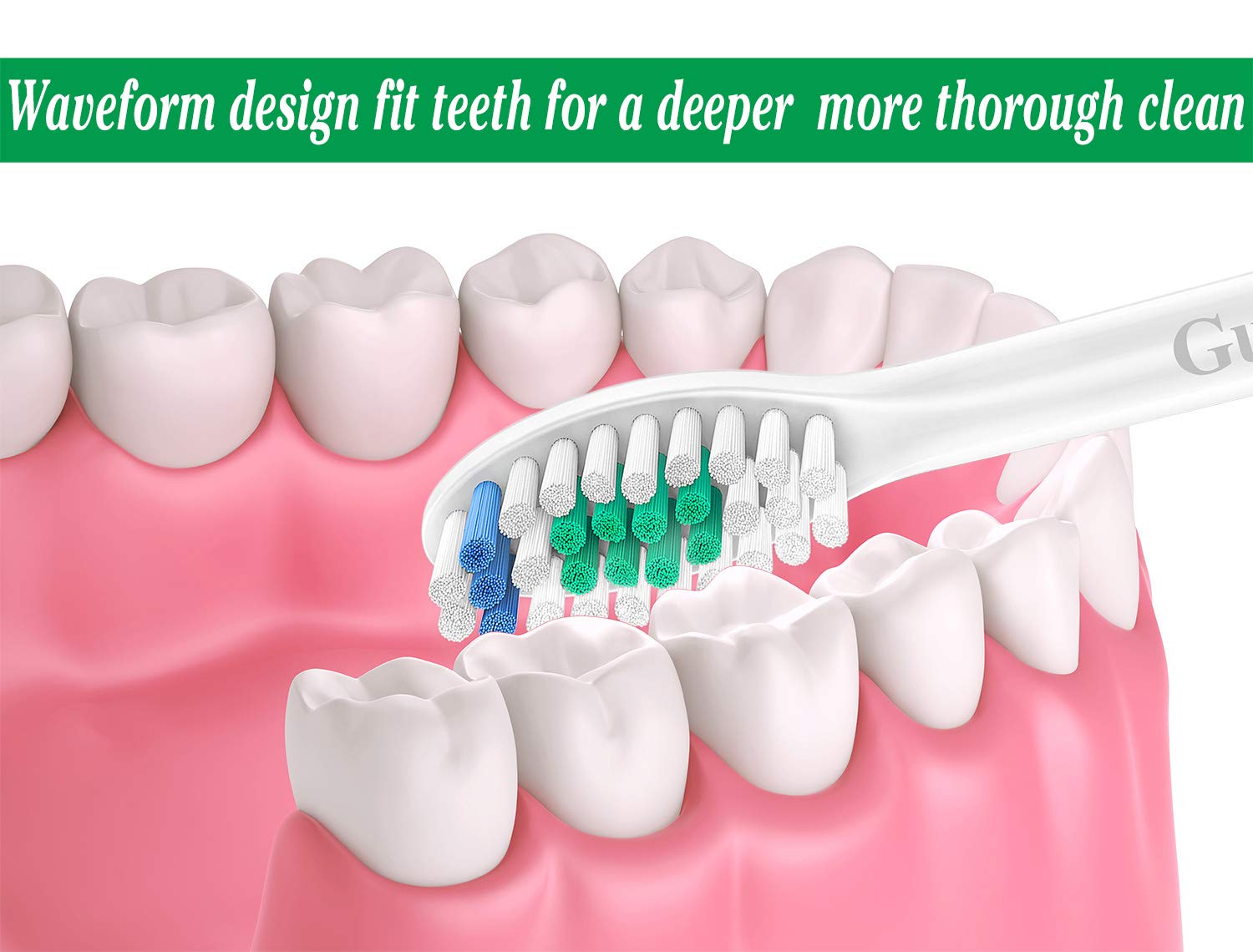 61M6AvU-2LL._SL1500_